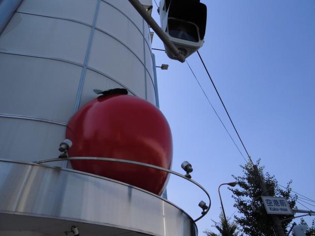 20141029dsama38.JPG
