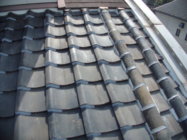 20150323nsama14.jpg