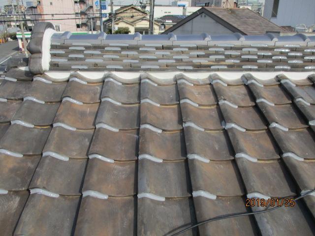 20190208y032.jpg