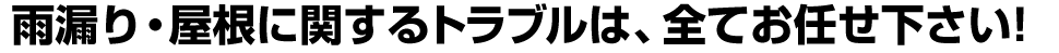 雨漏り・屋根に関するトラブルは、全てお任せ下さい!