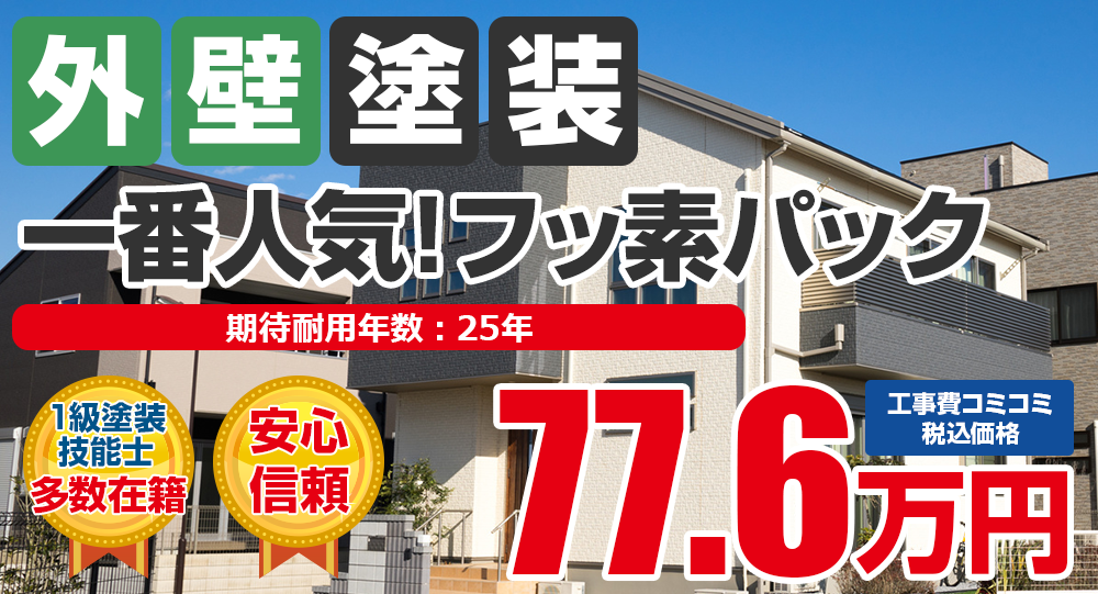 一番人気！フッ素パック塗装 税込77.6万円