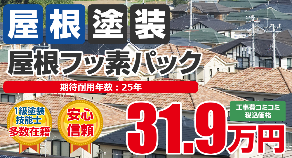 屋根フッ素パック塗装 税込31.9万円