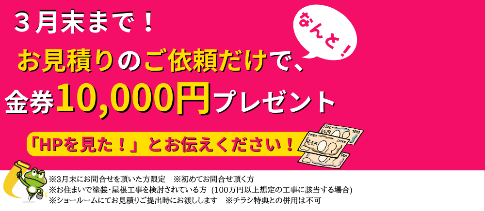 web限定キャンペーン