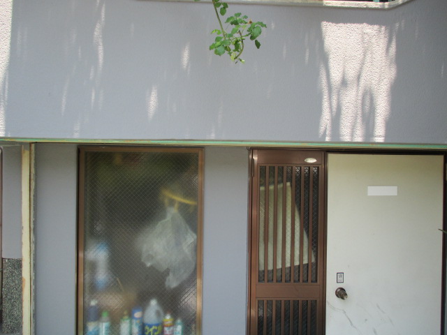 20170704isama24.JPG